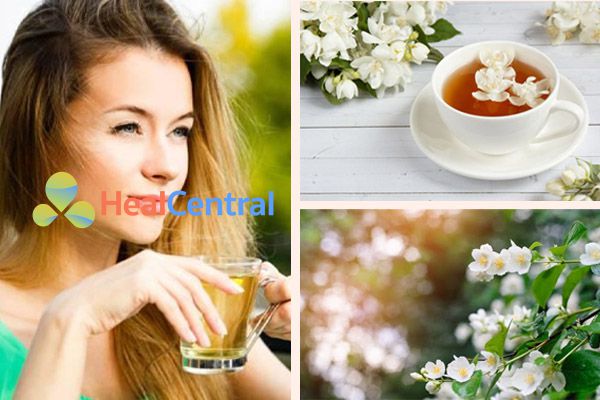 Trà hoa nhài có tác dụng gì? cách pha trà, giá bán