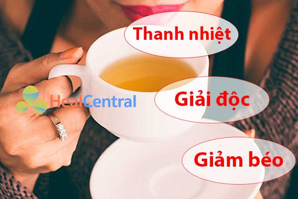 Trà hoa vàng có tác dụng gì?