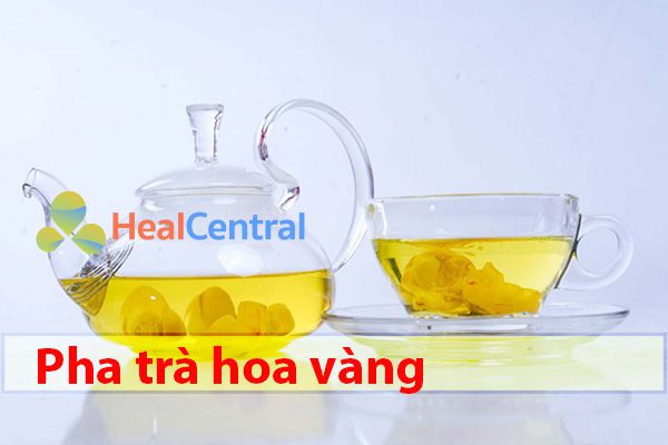 Cách pha trà hoa vàng tốt cho sức khỏe
