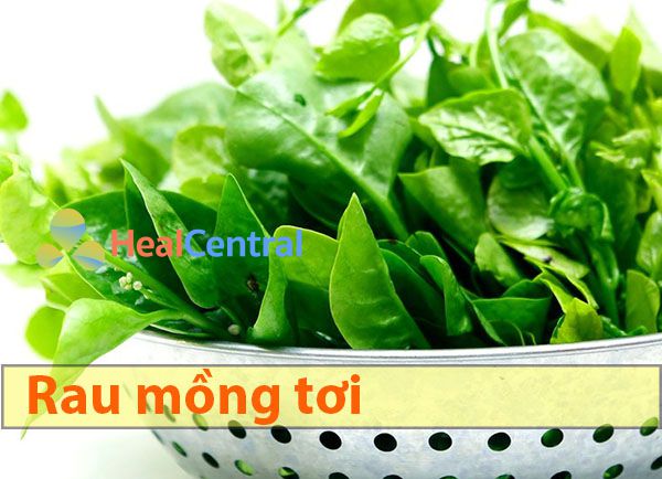 Rau mồng tơi giúp hỗ trợ điều trị xuất huyết dày