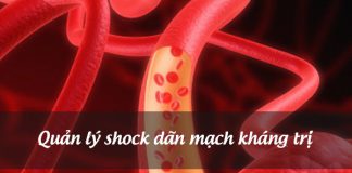 Quản lý shock dãn mạch kháng trị