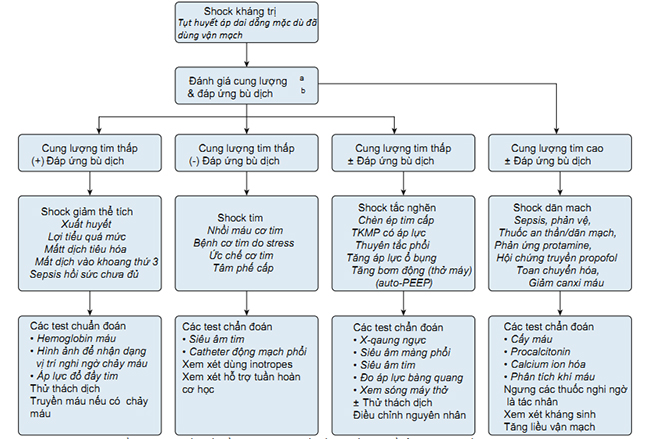 Phương pháp chẩn đoán được đề xuất để xác định những yếu tố góp phần có thể đảo ngược với sốc kháng trị