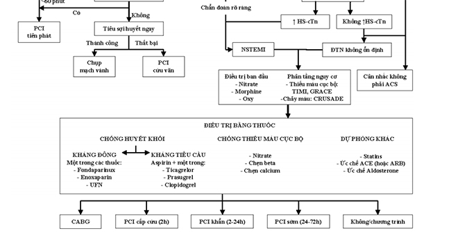 Lưu đồ chẩn đoán và điều trị ACS b