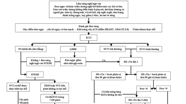 Lưu đồ chẩn đoán và điều trị ACS a