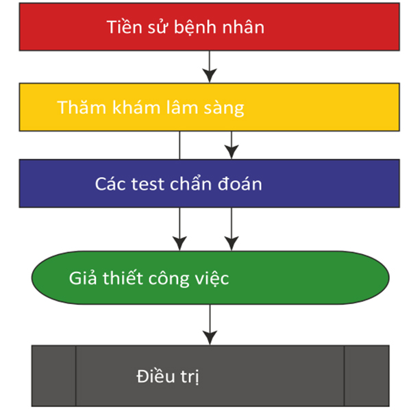 Lượt đồ thiết yếu để thiết lập một giả thuyết làm việc và kế hoạch điều trị ban đầu. Được phép của Martin W. Dünser, MD