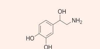 Norepinephrine trong sốc nhiễm trùng