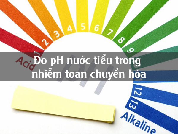 Đo pH nước tiểu trong nhiễm toan chuyển hóa