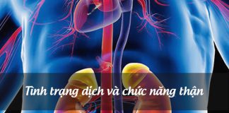 Tình trạng dịch và chức năng thận