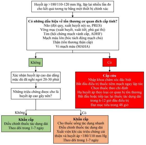 Hình 1. Đánh giá và quản lý cơn tăng huyết áp nặng.