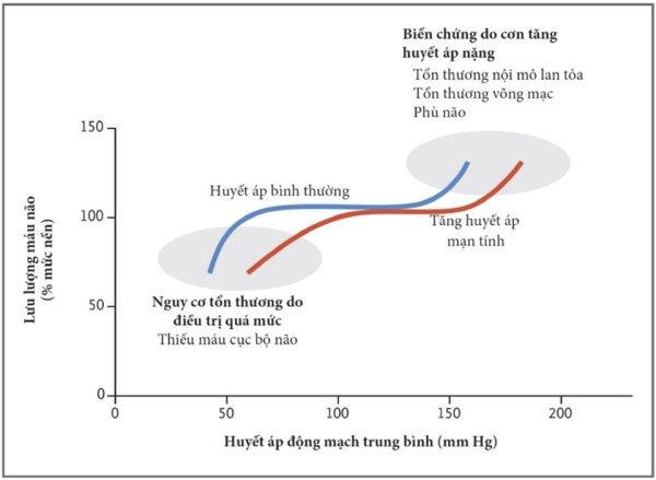 Hình 2. Tự điều hòa lưu lượng máu não và tác động của nó đến điều trị tăng huyết áp cấp cứu.