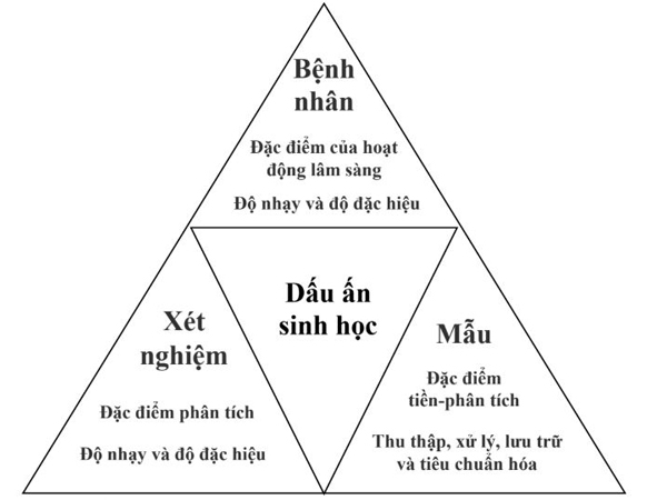 Hình 4.1 Đặc điểm hoạt động tiền-phân tích, phân tích, và lâm sàng của dấu ấn sinh học