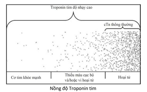 Hình 4.2 Nồng độ troponin tim và phạm vi phát hiện cTn thông thường và HS-cTn.