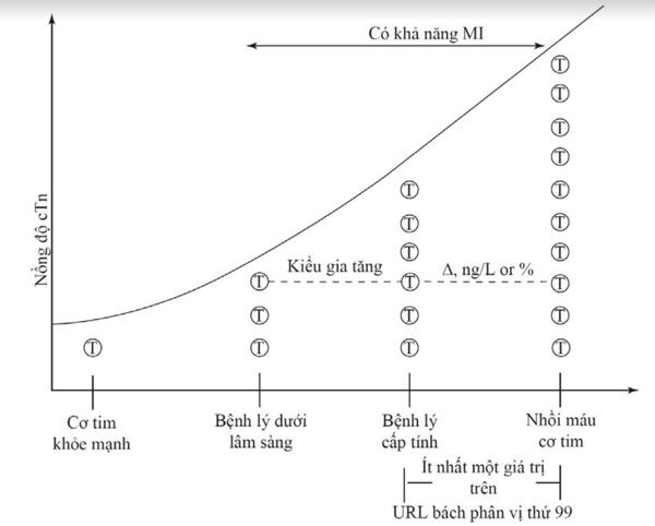 Hình 4.3 Biểu hiện troponin và bối cảnh sinh lý bệnh. Xét mô hình gia tăng và khả năng MI dựa trên biểu hiện cTn. (Chuyển thể từ Westermann và cộng sự [17]).