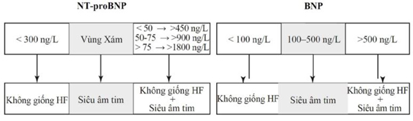 Hình 4.5 Giới hạn quyết định đối với NT-proBNP và BNP ở bệnh nhân khó thở cấp.