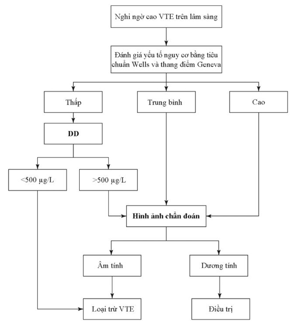 Hình 4.7 Lưu đồ chẩn đoán VTE bằng cách sử dụng DD và hình ảnh học.