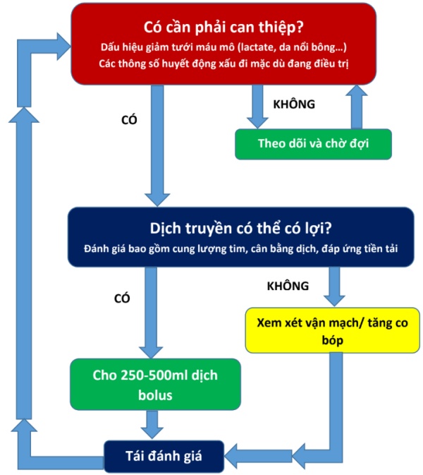 Hình 31.1 Biểu đồ dòng chảy cho các bác sĩ lâm sàng đánh giá bệnh nhân với sự suy sụp huyết động