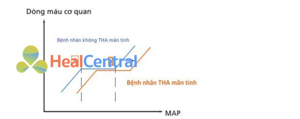 MAP, áp lực động mạch trung bình