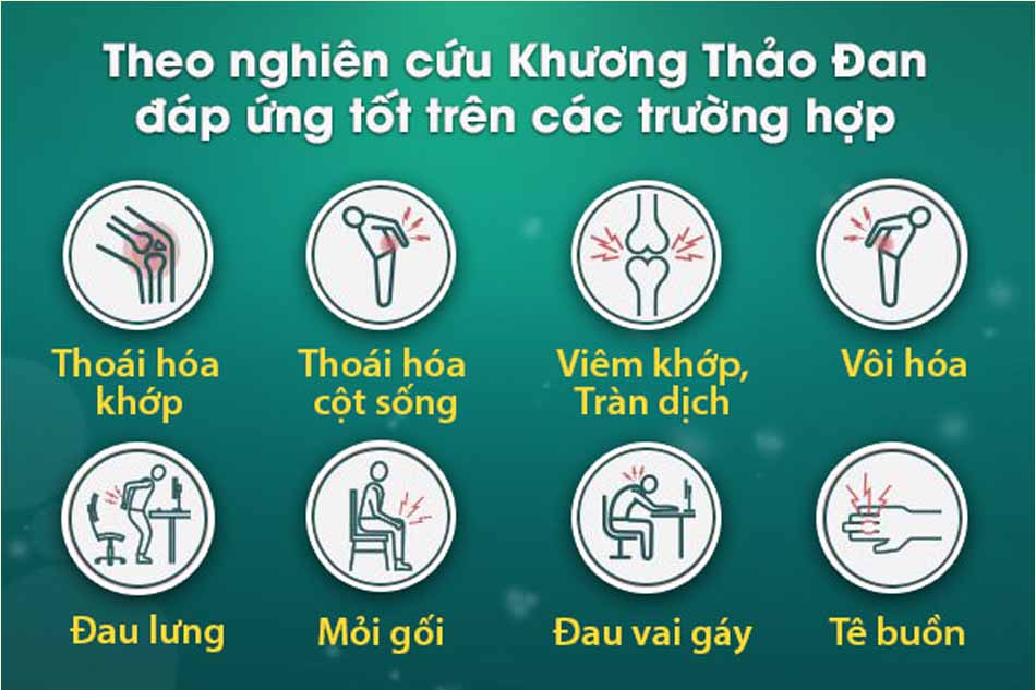 Khương Thảo Đan đáp ứng tốt với hầu hết các bệnh về xương khớp