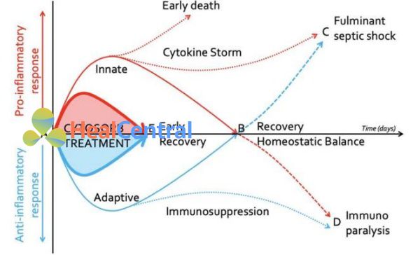 Phản ứng Cytokine sau khi nhiễm trùng huyết