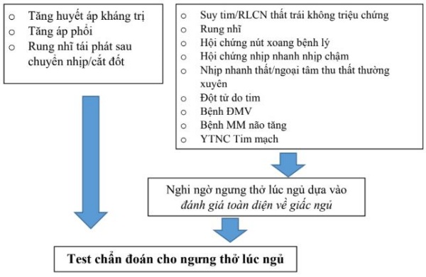 Hình 2 Sơ đồ chọn lọc bệnh nhân để thực hiện test chẩn đoán giấc ngủ dựa vào tình trạng bệnh nền tim mạch.