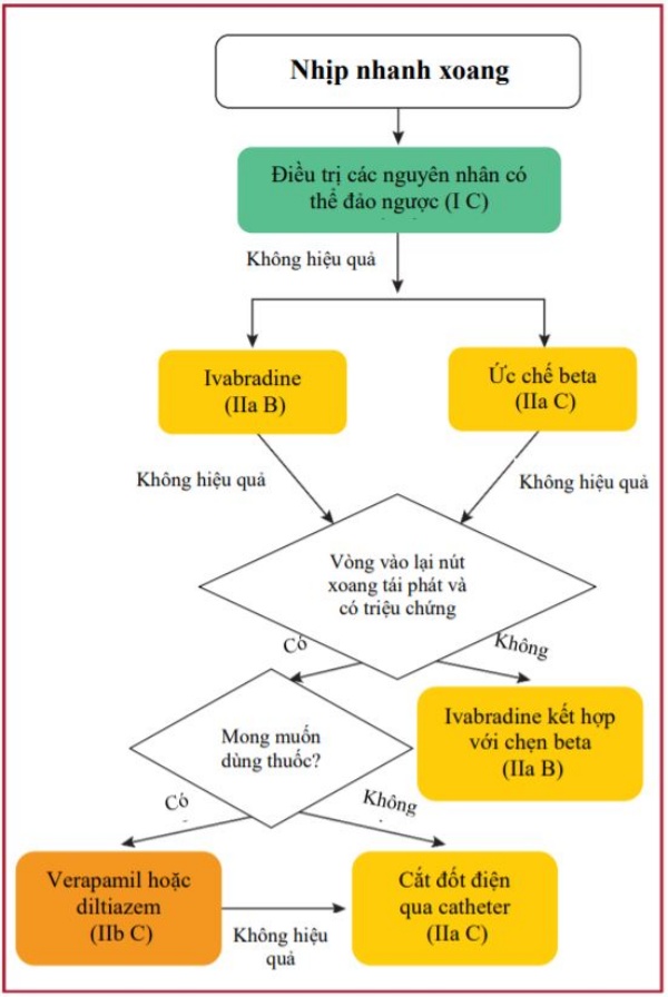 Hình 6 Điều trị cơn nhịp nhanh xoang.