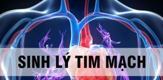 Tài liệu: Sinh lý tim mạch