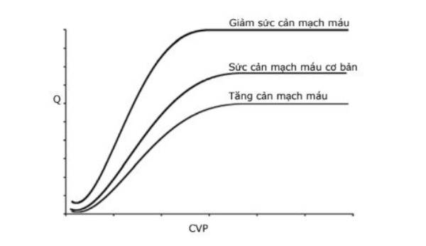 Hình 3. Các đường cong chức năng tim trong các điều kiện kháng lực mạch máu hệ thống khác nhau.