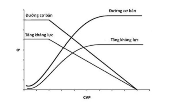 Hình 5. Ảnh hưởng của tăng kháng lực mạch máu hệ thống