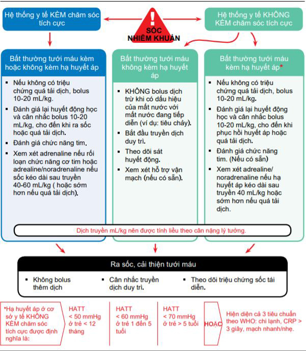 Lưu đồ điều trị truyền dịch và thuốc vận mạch - co cơ tim ở trẻ em