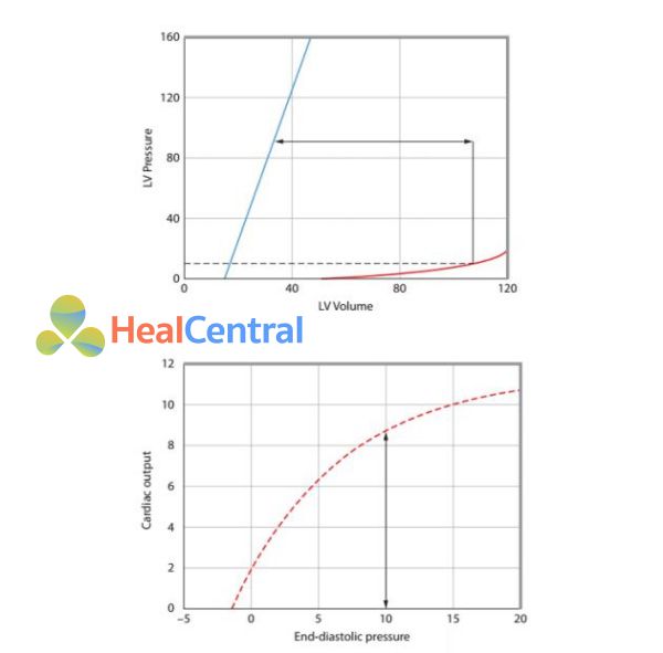 Đường cong chức năng tim có liên quan đến đường biểu diễn áp lực và thể tích thất trái