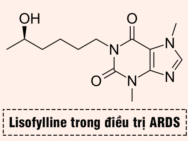 Lisofylline trong điều trị ARDS