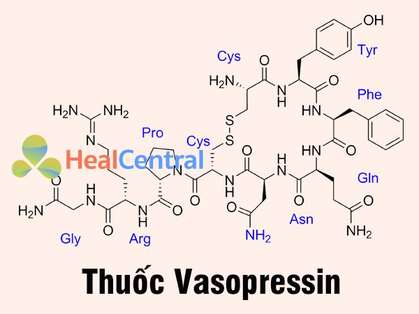 Thuốc Vasopressin dùng trong điều trị Shock nhiễm trùng