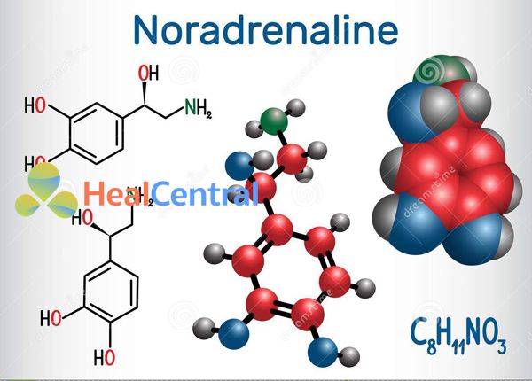 Cấu trúc Noradrenaline