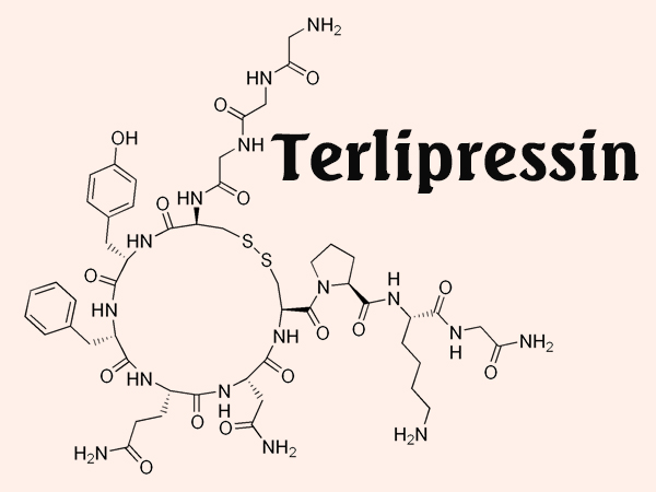 Cấu trúc hóa học "cồng kềnh" của Terlipressin