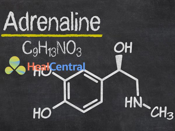 Cấu trúc hóa học của Adrenaline