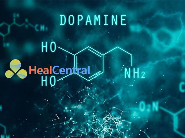 Cấu trúc hóa học của Dopamine