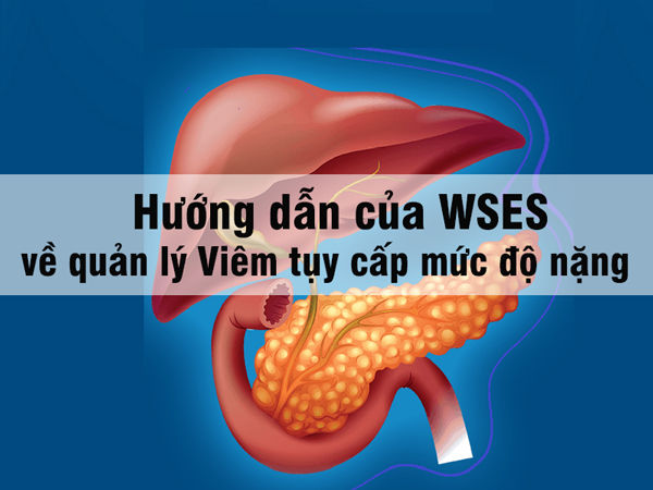 Hướng dẫn của WSES về quản lý Viêm tuỵ cấp mức độ nặng