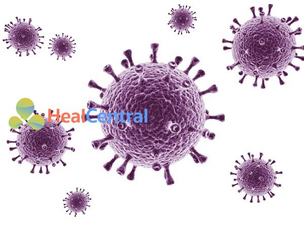 Hệ thống miễn dịch có thể tiêu diệt được một số loại virus