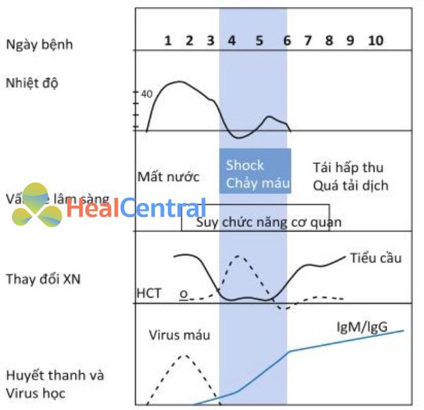 Diễn biến của bệnh sốt xuất huyết