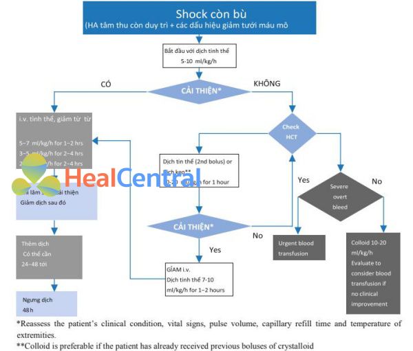 Lượt đồ để quản lý điều trị dịch của sốc bù ở người lớn