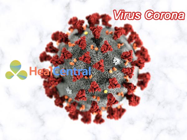 Coronavirus-SARS  (SARS-CoV)