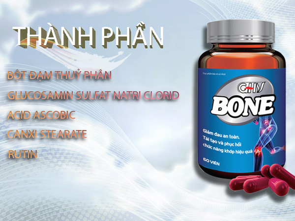 Các thành phần chính của GHV Bone