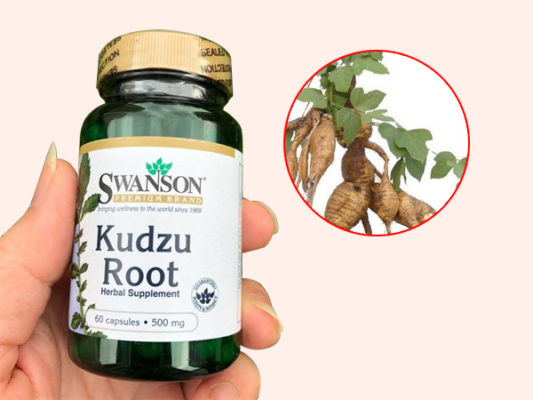 Kudzu Root có nguồn gốc thảo dược