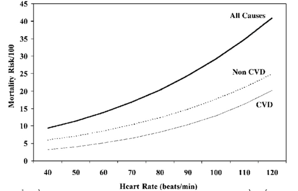 Nghiên cứu MATISS, tỷ lệ tử vong tăng theo tần số tim