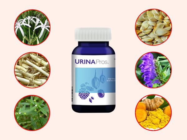 Các thành phần chính có trong Urina Pros