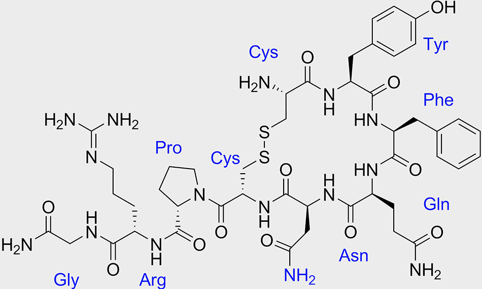 Vasopressin