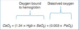 Hàm lượng oxy trong động mạch là lượng oxy liên kết với hemoglobin cộng với lượng oxy hòa tan trong máu động mạch