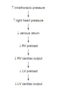 Hình 10.2 Tăng áp lực trong lồng ngực làm giảm tiền tải. RV: tâm thất phải; LV: tâm thất trái