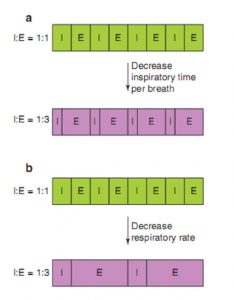 Hình 6.5 Các cách khác nhau để giảm tỷ lệ I:E và tăng thời gian thở ra. (a) Tổng thời gian hít vào và tỷ lệ I: E giảm bằng cách giảm thời gian hít vào của mỗi nhịp thở. (b) Tổng thời gian hít vào và tỷ lệ I:E giảm bằng cách giảm tần số thở. E: thở ra; I: hít vào