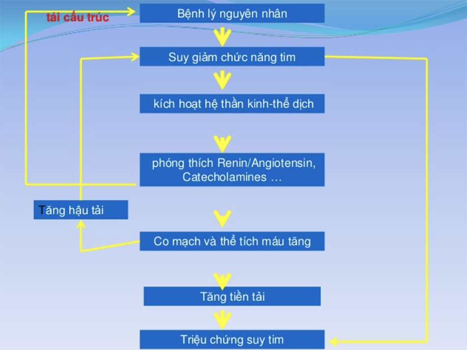 Hậu quả của các cơ chế bù trừ trong suy tim